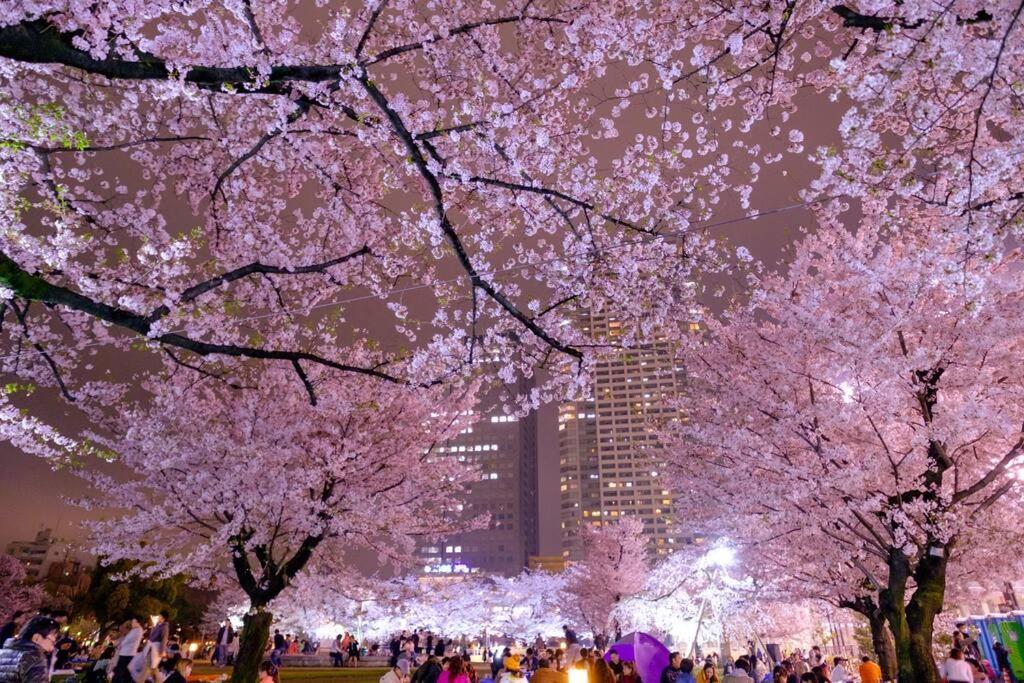 5Mins From Jr Kinshicho! Near Asakusa&Skytree! Tokyo Exterior photo