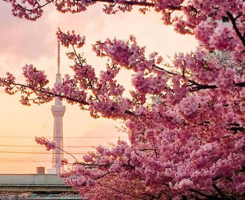 5Mins From Jr Kinshicho! Near Asakusa&Skytree! Tokyo Exterior photo